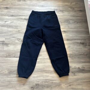 aritzia navy Sweatpants